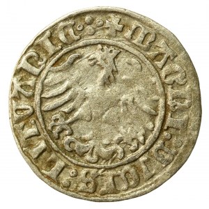 Zygmunt I Stary, Półgrosz 1510, Wilno. Rewers cztery kropki (529)