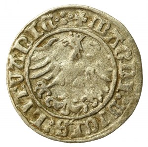 Sigismund I the Old, Half-penny 1510, Vilnius. Reverse four dots (529)