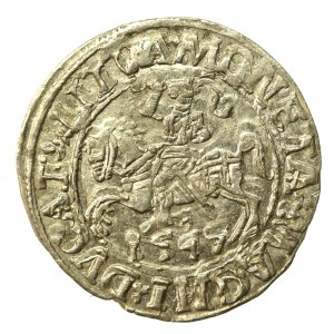 Zygmunt II August, Półgrosz 1547, Wilno - LI/LITVA (530)