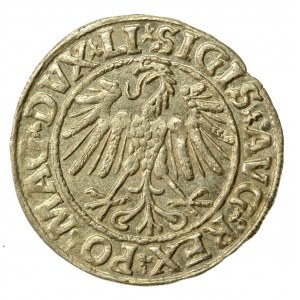 Zygmunt II August, Półgrosz 1547, Wilno - LI/LITVA (530)