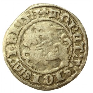 Zygmunt I Stary, Półgrosz 1513, Wilno - pełna data (531)