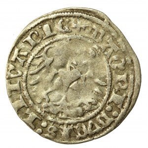 Zygmunt I Stary, Półgrosz 1513, Wilno - pełna data (531)