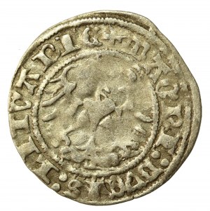 Sigismund I the Old, Half-penny 1513, Vilnius - full date (531)