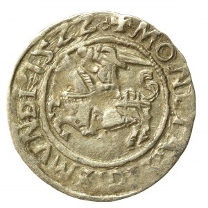 Sigismund I the Old, Half-penny 1522, Vilnius (532)