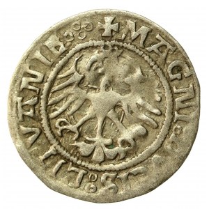Sigismund I the Old, Half-penny 1521, Vilnius. Rev-four dots (534)