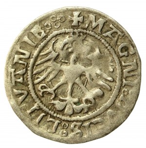 Sigismund I the Old, Half-penny 1521, Vilnius. Rev-four dots (534)
