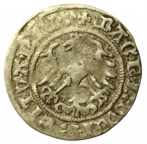 Sigismund I the Old, Half-penny 1513, Vilnius. Obverse, reverse-4 dots. Rare (535)