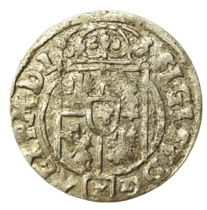 Zygmunt III Waza, Półtorak 1623, Bydgoszcz (539)