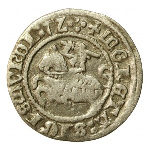 Zygmunt I Stary, Półgrosz 1512, Wilno. Cztery kropki (540)