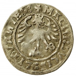 Sigismund I the Old, Half-penny 151*9, Vilnius. More interesting (544)