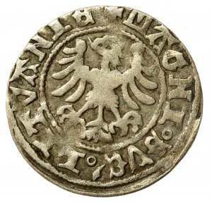 Alexander Jagiellonian, Vilnius half-penny - Gothic/Renaissance - 5th issue - very rare (547)