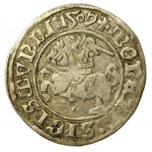 Zygmunt I Stary, Półgrosz 1509, Wilno (548)