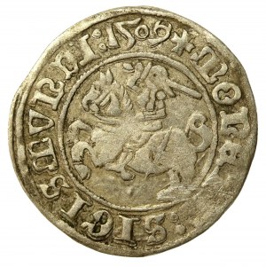 Sigismund I the Old, Half-penny 1509, Vilnius (548)