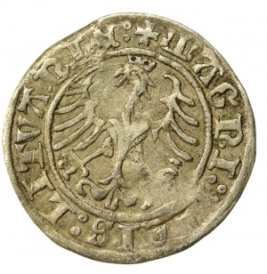 Sigismund I the Old, Half-penny 1509, Vilnius (548)