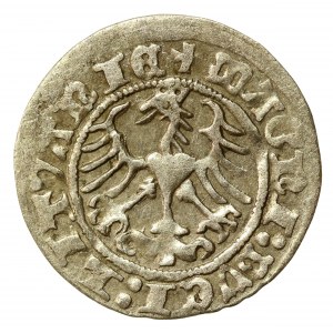 Zygmunt I Stary, Półgrosz 1514, Wilno. DUSI. Rzadki (551)