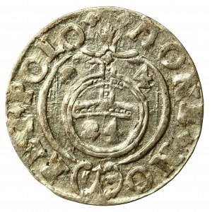 Zygmunt III Waza, Półtorak 1624, Bydgoszcz - Sas w tarczy okrągłej (555)