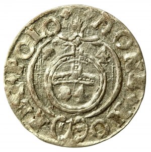 Zygmunt III Waza, Półtorak 1624, Bydgoszcz - Sas w tarczy okrągłej (555)