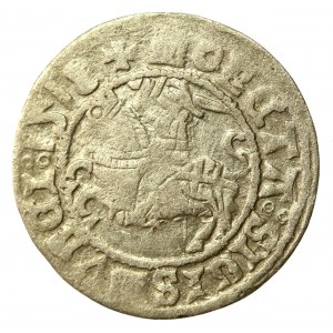 Zygmunt I Stary, Półgrosz 1518, Wilno. Odwrócona litera D (557)