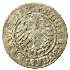 Zygmunt I Stary, Półgrosz 1518, Wilno. Odwrócona litera D (557)