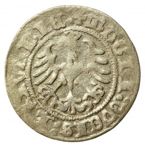 Sigismund I the Old, Half-penny 1518, Vilnius. Inverted letter D (557)