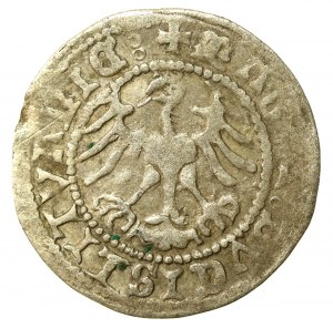 Sigismund I the Old, Half-penny 1519, Vilnius - Gothic/Renaissance. Rare (558)