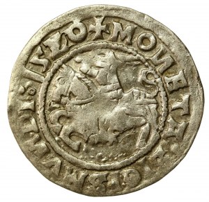 Sigismund I the Old, Half-penny 1520, Vilnius. Corrected date (559)