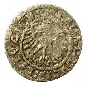 Zygmunt I Stary, Półgrosz 1519, Wilno. Przebitka cyfry1 w dacie (563)