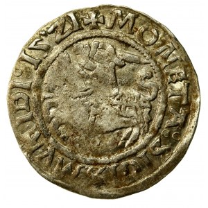 Zygmunt I Stary, Półgrosz 1521. SIGISMUMIDI, rzadki (564)