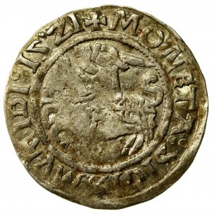 Sigismund I the Old, Half-penny 1521. SIGISMUMIDI, rare (564)