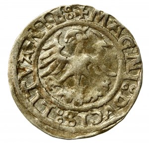 Sigismund I the Old, Half-penny 1521. SIGISMUMIDI, rare (564)