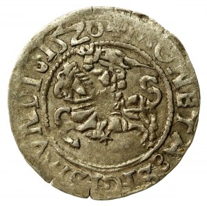 Sigismund I the Old, Half-penny 1526, Vilnius (565)