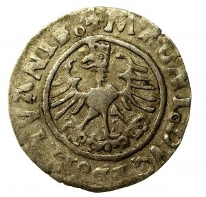 Sigismund I the Old, Half-penny 1526, Vilnius (565)