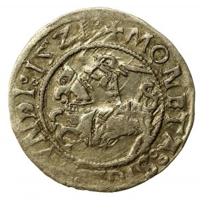 Zygmunt I Stary, Półgrosz 1521, Wilno (566)