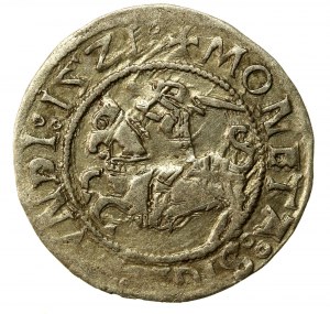 Sigismund I the Old, Half-penny 1521, Vilnius (566)