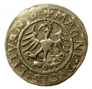 Sigismund I the Old, Half-penny 1521, Vilnius (566)