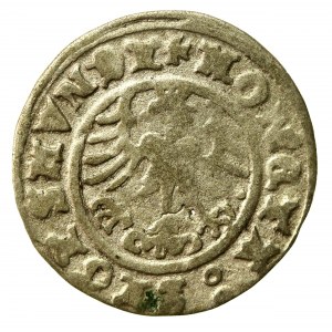 Zygmunt I Stary, Półgrosz 1509, Kraków (568)