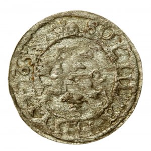 Jan II Kazimierz, Szeląg 1653, Wilno - Ślepowron pod Pogonią (574)