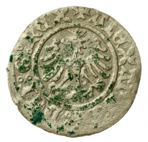 Aleksander Jagiellończyk, Półgrosz koronny, Kraków (575)
