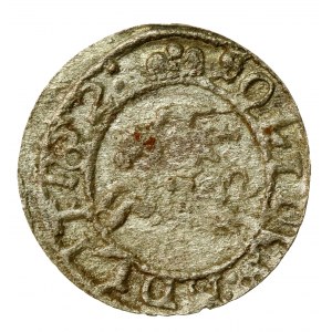 Jan II Kazimierz, Szeląg 1652, Wilno - BEZ herbu (577)