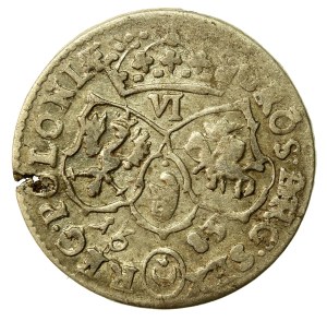 John III Sobieski, Sixth of 1683, Bydgoszcz TLB - Leliwa coat of arms (725)