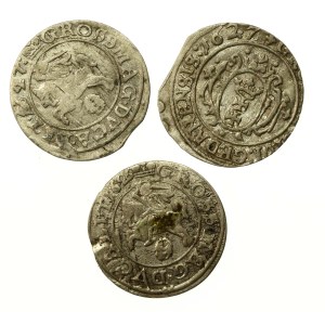 Sigismund III Vasa, a set of Lithuanian pennies. Total of 3 pieces (731)