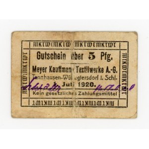 Jedlinka-Głuszyca/Tannhausen-Wüstegiersdorf, Meyer Kauffmann, 5 fenigów 1920 (473)