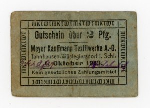 Jedlinka-Gluszyca/Tannhausen-Wüstegiersdorf, Meyer Kauffmann, 2 fenigs 1919 (474)
