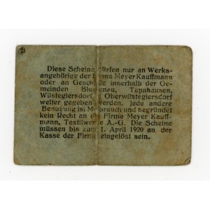 Jedlinka-Głuszyca/Tannhausen-Wüstegiersdorf, Meyer Kauffmann, 2 fenigi 1919 (474)