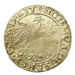 Zygmunt I Stary, Grosz 1535, Wilno - LITV/LIT - rzadki (610)