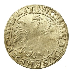 Sigismund I the Old, 1535 penny, Vilnius - LITV/LIT - rare (610)