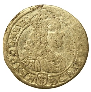 Jan II Kazimierz, Szóstak 1667 TLB, Bydgoszcz (613)