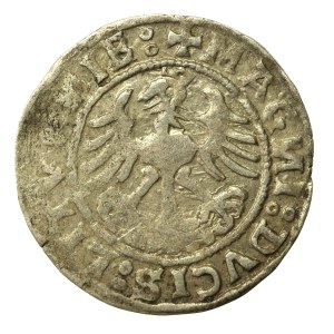 Zygmunt I Stary, Półgrosz 1520, Wilno, SIGISMVANDI - odwrócone N (620)