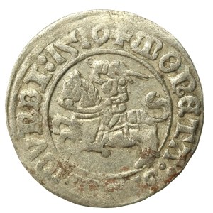 Zygmunt I Stary, Półgrosz 1510, Wilno (622)