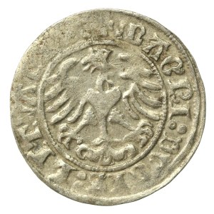 Zygmunt I Stary, Półgrosz 1510, Wilno (622)